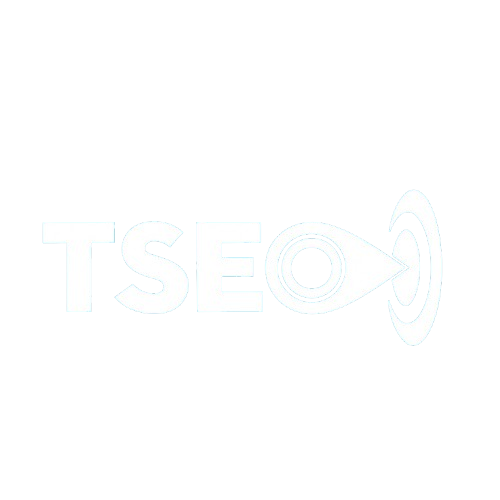 Logo Tseo xoá nền