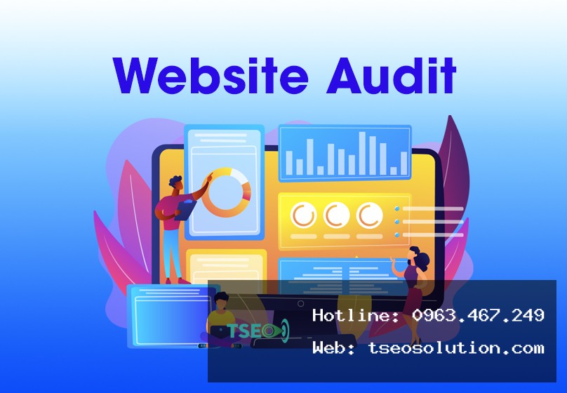 Audit-website-la-gi